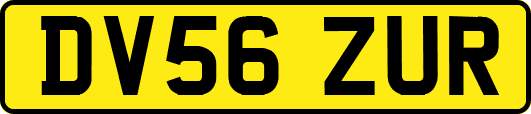 DV56ZUR