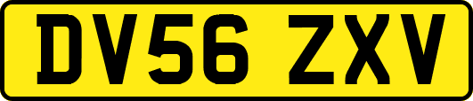 DV56ZXV