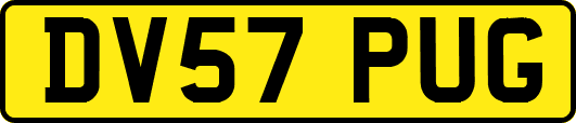 DV57PUG