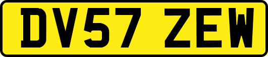 DV57ZEW