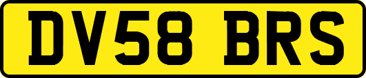 DV58BRS