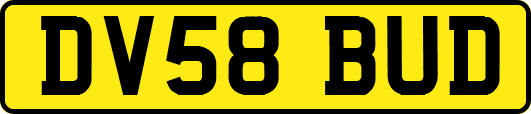 DV58BUD