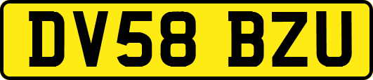 DV58BZU
