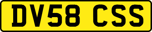 DV58CSS