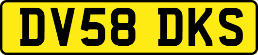 DV58DKS