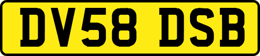 DV58DSB
