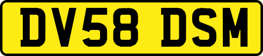 DV58DSM