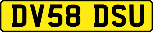 DV58DSU