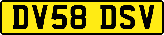 DV58DSV