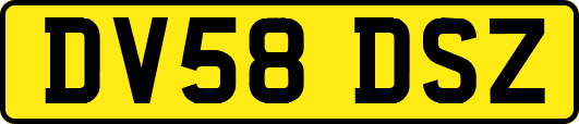 DV58DSZ