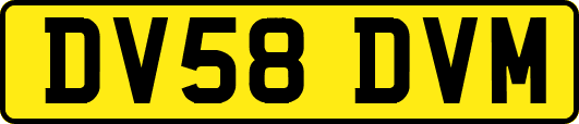 DV58DVM