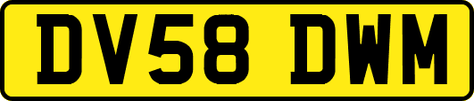 DV58DWM