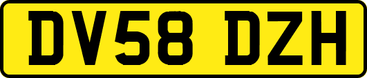 DV58DZH