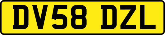 DV58DZL