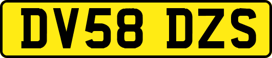 DV58DZS