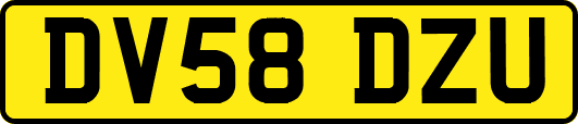 DV58DZU
