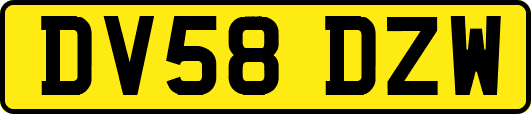 DV58DZW