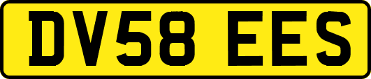 DV58EES
