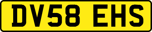 DV58EHS