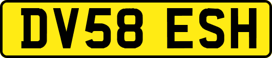 DV58ESH