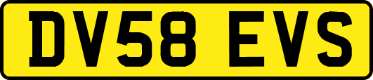 DV58EVS