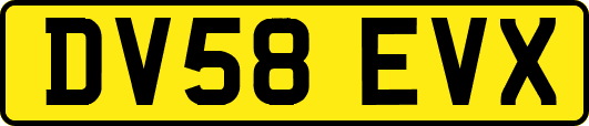 DV58EVX