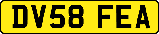 DV58FEA
