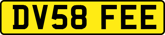 DV58FEE