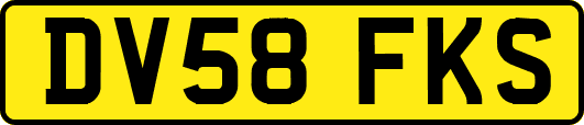 DV58FKS