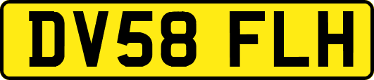 DV58FLH