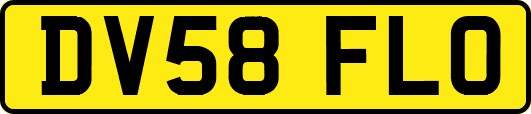 DV58FLO