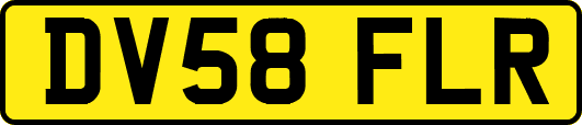 DV58FLR