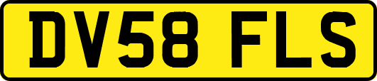 DV58FLS