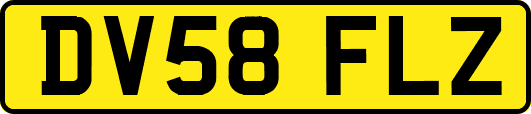 DV58FLZ