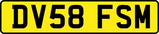 DV58FSM