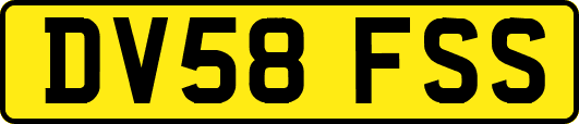 DV58FSS