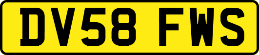 DV58FWS