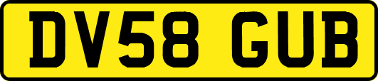 DV58GUB