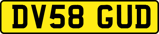 DV58GUD