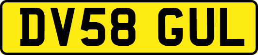 DV58GUL