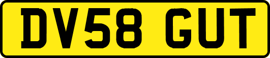 DV58GUT