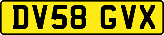 DV58GVX