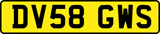 DV58GWS
