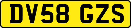 DV58GZS