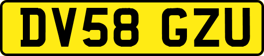 DV58GZU