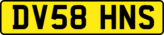 DV58HNS