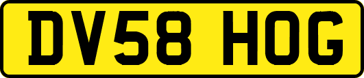 DV58HOG