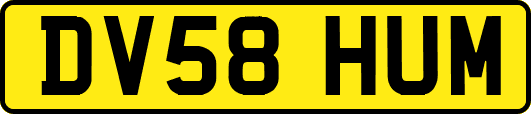 DV58HUM