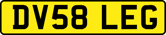 DV58LEG