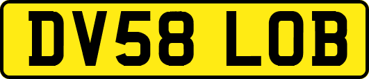 DV58LOB